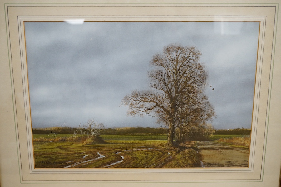 Peter Robinson (contemporary), Rural landscapes, each signed, two gouaches, largest 27 x 38cm